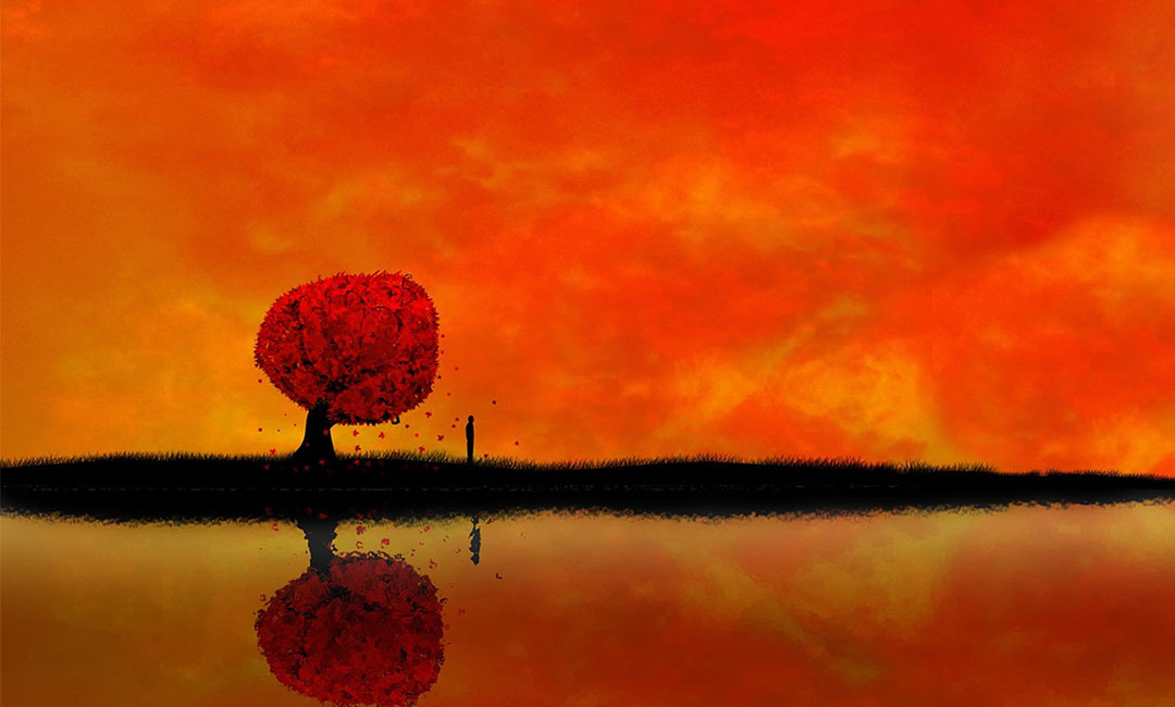 常熟笙影微信朋友圈转发案例